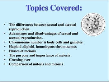 importance of meiosis