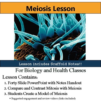 Preview of Meiosis Lesson - Compare & Contrast Meiosis / Mitosis - Notes & Activity