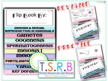 Preview of Meiosis Mammalian Reproduction Flip Book (Edexcel Biology B Matched)