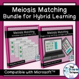 Meiosis Matching for Hybrid Learning - Compatible with Microsoft
