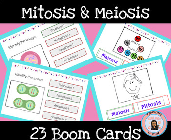 Preview of Meiosis Mitosis Boom Cards Digital Resource Sort Task Cards