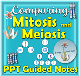 Mitosis vs Meiosis PowerPoint and Guided Notes with Fertil
