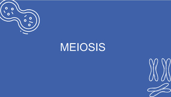 Preview of Meiosis Notes - Slides
