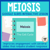 Meiosis - Presentation & Guided Notes