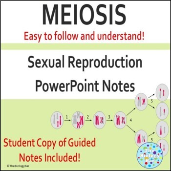 Preview of Meiosis PPT with Guided Notes Easy to Follow