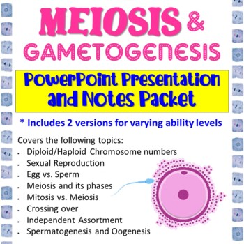 Preview of Meiosis PowerPoint Presentation and Student Notes