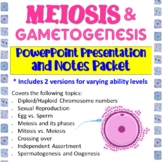 Meiosis PowerPoint Presentation and Student Notes