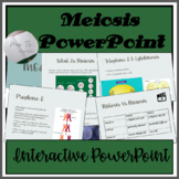 Meiosis PowerPoint and Activities