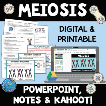 Preview of Meiosis PowerPoint with Notes, Questions, and Kahoot!