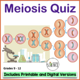 Meiosis Cell Division Quiz