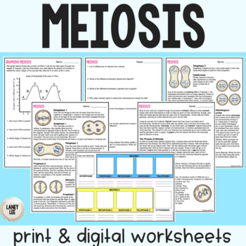 Preview of Meiosis - Reading Comprehension Worksheets