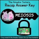 Meiosis Recap Answer Key by The Amoeba Sisters (Amoeba Sisters Answer Key)