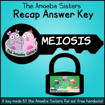Preview of Meiosis Recap Answer Key by The Amoeba Sisters (Amoeba Sisters Answer Key)