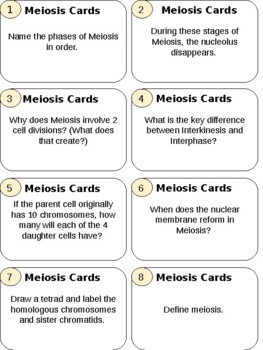 Preview of Meiosis Review Cards