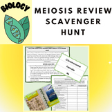 Meiosis Review- Scavenger Hunt *Worksheet, Answer Sheet, T