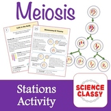 Meiosis Stations Activity