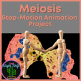Meiosis Stop-Motion Animation Lab