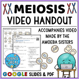 Meiosis Video Handout for The Amoeba Sisters Meiosis Video