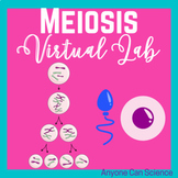 Meiosis Virtual Lab Worksheet