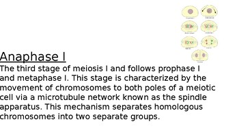 Preview of Meiosis Vocabulary