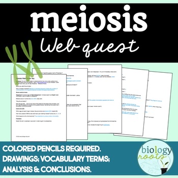 Meiosis Web Quest Internet Lesson Supports Distance Learning By Biology Roots