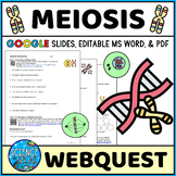Meiosis Webquest