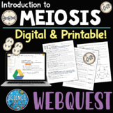 Meiosis Webquest - Introduction to Meiosis Webquest - Digi