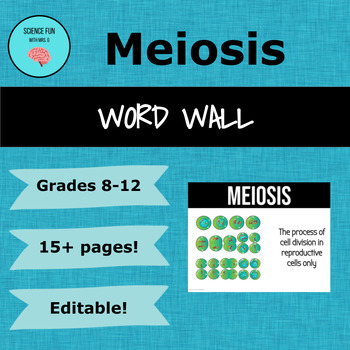 Preview of Meiosis Word Wall