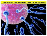 Meiosis (YouTube Vodcast Notes)