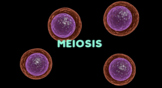 Meiosis a guide to amoeba sisters video