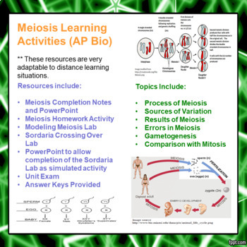 Preview of Meiosis Learning Activities for AP/Advanced Biology (Distance Learning)