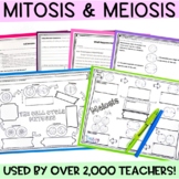 Meiosis and Mitosis Activity
