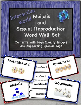 Preview of Meiosis and Sexual Reproduction Word Wall with Spanish Tags