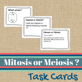Preview of Mitosis and  Meiosis Review. Task Cards