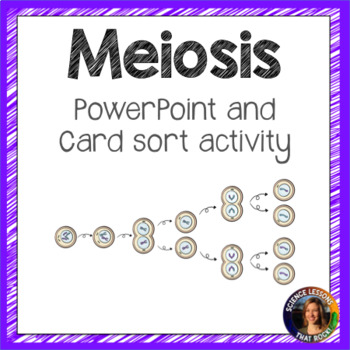 Preview of Meiosis powerpoint and card sort