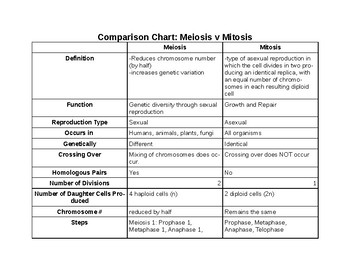 Mitosis Meiosis Differences Chart