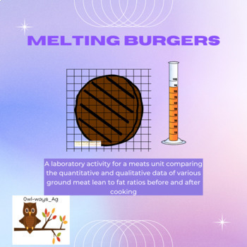 Preview of Melting Burgers