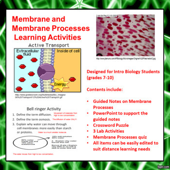 Preview of Membrane and Membrane Processes Learning Activities (Distance Learning)
