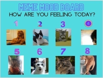 Meme Mood Boards By Adelaidejonesed Teachers Pay Teachers