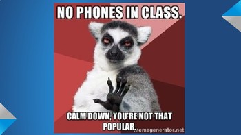 Memes of Classroom Expectations (PPT) by Ruddell's ELA Resources