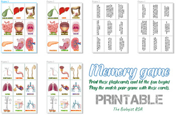 Preview of Memory Game Digestive, Respiratory and Urinary Organs