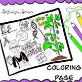 Mendel Genetics (Science) Coloring Page