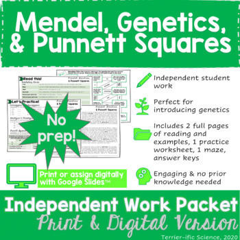 Preview of Mendel, Genetics, & Punnett Squares Independent Work Packet - PRINT & DIGITAL