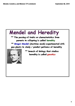 Preview of Mendel, Genetics, and Meiosis Notes (PDF)