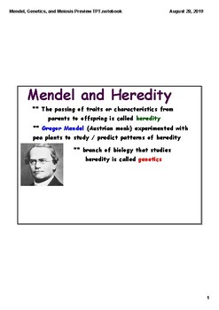 Preview of Mendel, Genetics, and Meiosis Notes (SmartBoard)