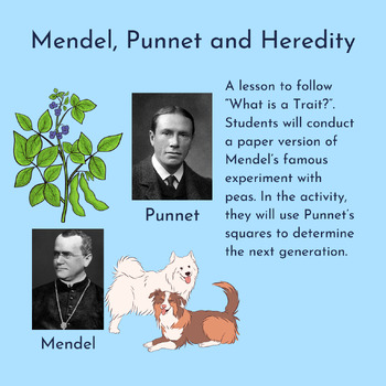 Preview of Mendel, Punnet, and Heredity - A Follow Up Lesson to "What is a Trait"