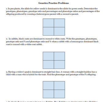 Punnett Square and Mendel Practice -- 6 worksheets + PowerPoint | TpT