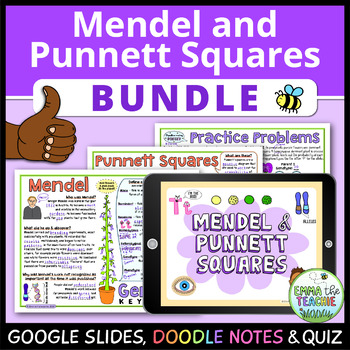 Preview of Mendel and Punnett Squares Bundle - Google Slides, Doodle Notes and Quiz