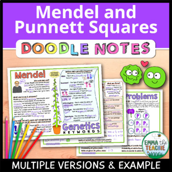 Preview of Mendel and Punnett Squares Doodle Notes