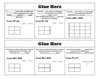 Mendel's Laws and Non-Mendelian Interactive Notebook Activity by